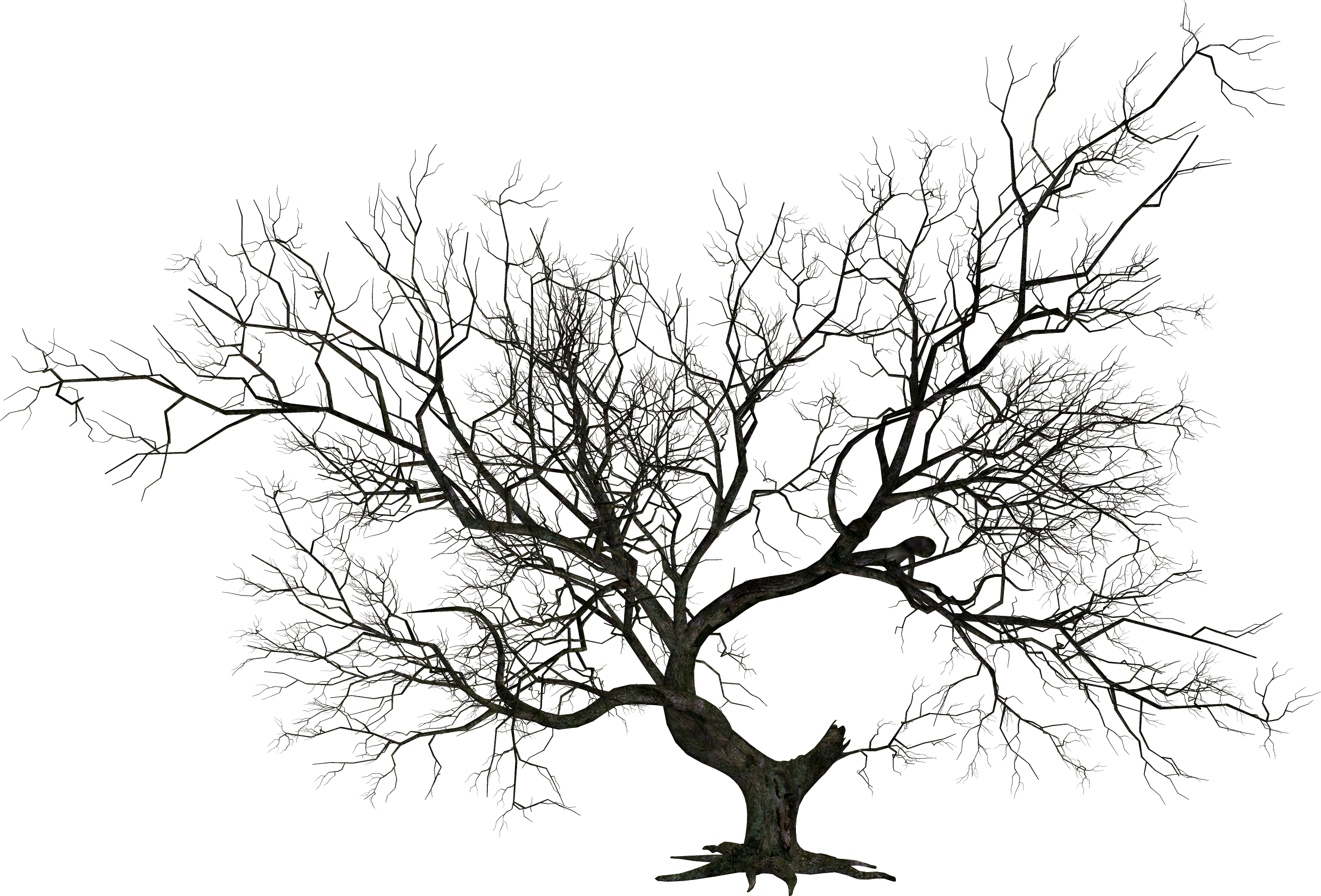 2483x1685 Vintage Spooky Halloween Clipart