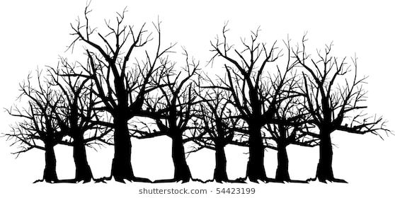 558x280 Vector Silhouette Graphic Depicting Spooky, Scary Trees