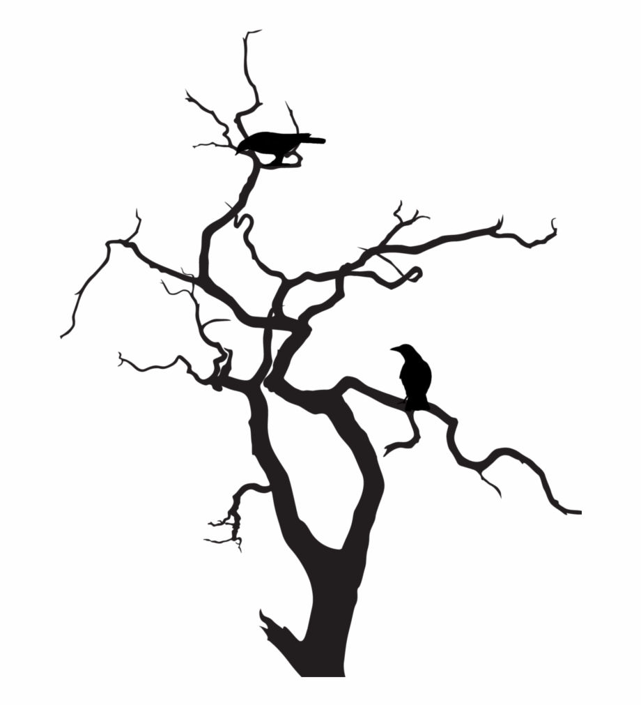 920x1011 Creepy Tree Png Images