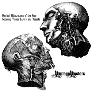 300x300 Creepy Vintage Vectors