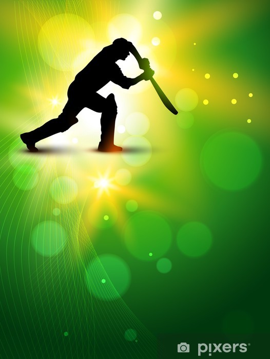 526x700 Vector Cricket Background Wall Mural We Live To Change