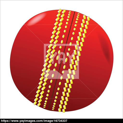 512x512 Cricket Ball Vector