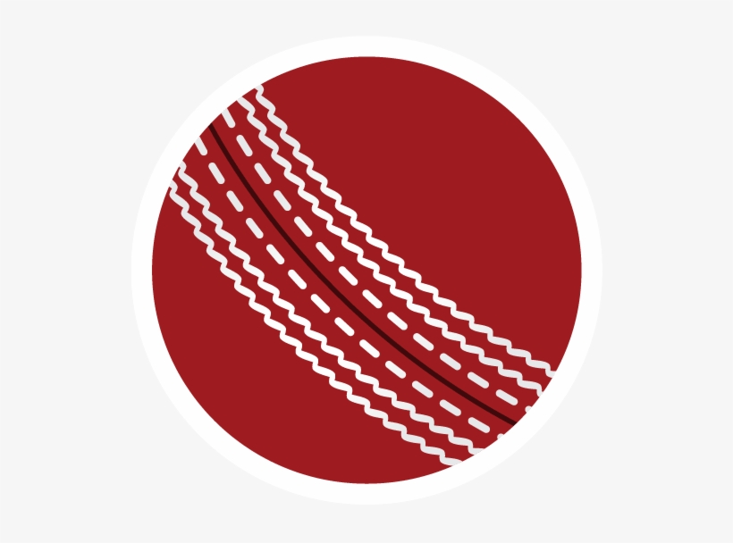 820x608 Cricket Transparent Png