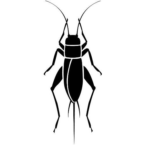500x500 Cricket Insect Clipart Look At Clip Art Images