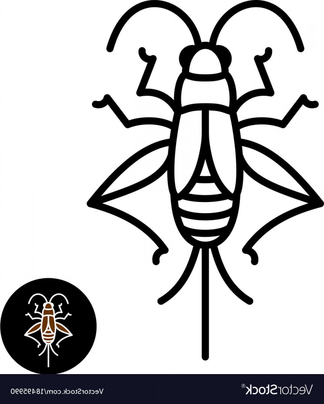 1040x1296 Cricket Insect Stylized Logo Vector Soidergi