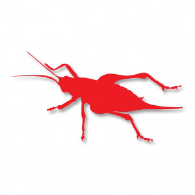 650x650 Free Vectors Cricket Insect Silhouette
