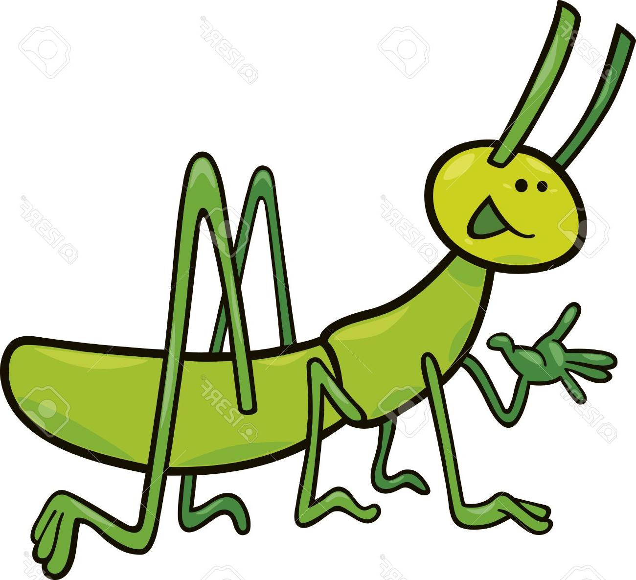 1300x1185 Best Funny Cricket Insect Vector Design Free Vector Art, Images