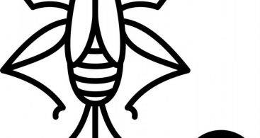 367x195 Vector Images Design