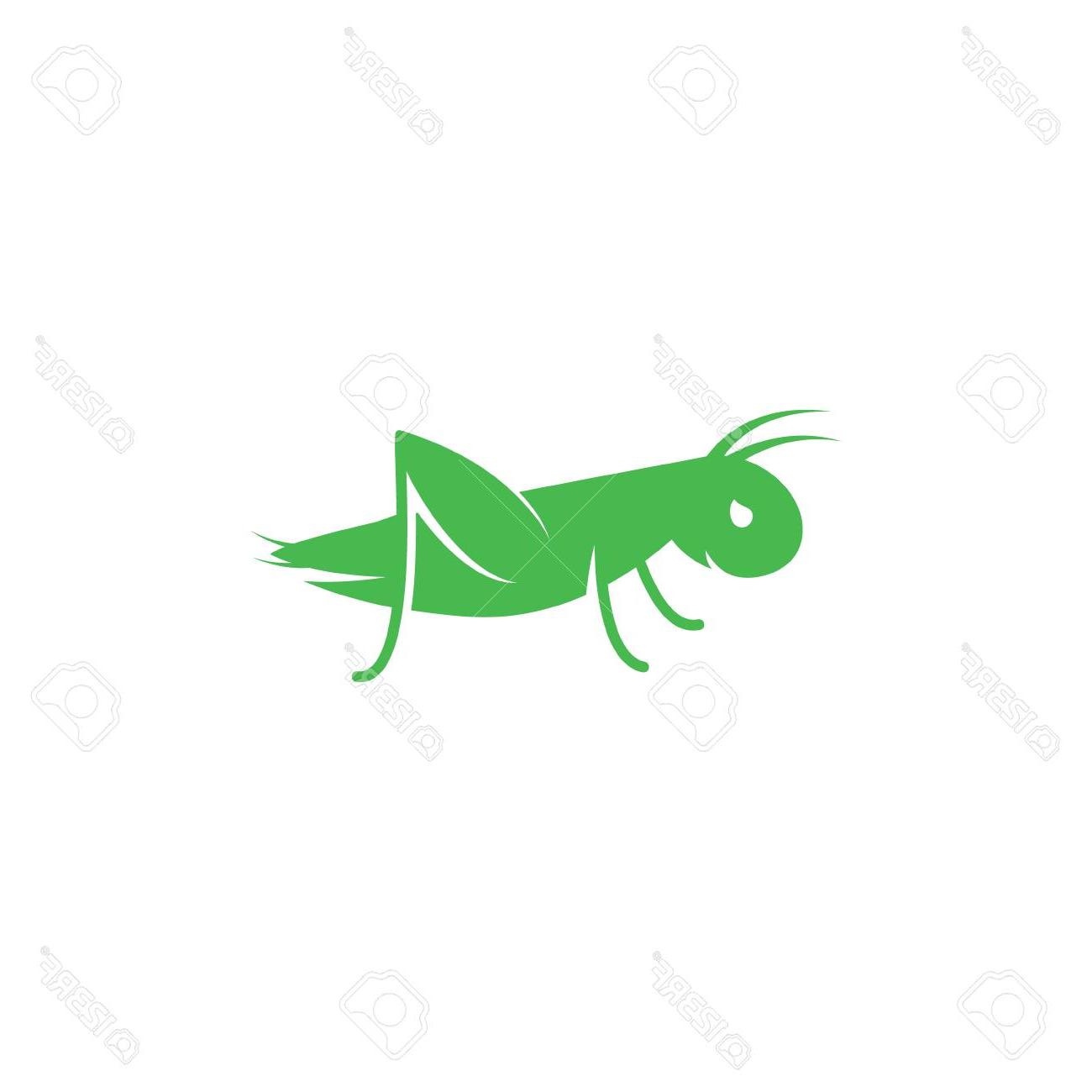 1300x1300 Best Hd Asian Cricket Bug Vector Drawing Free Vector Art, Images