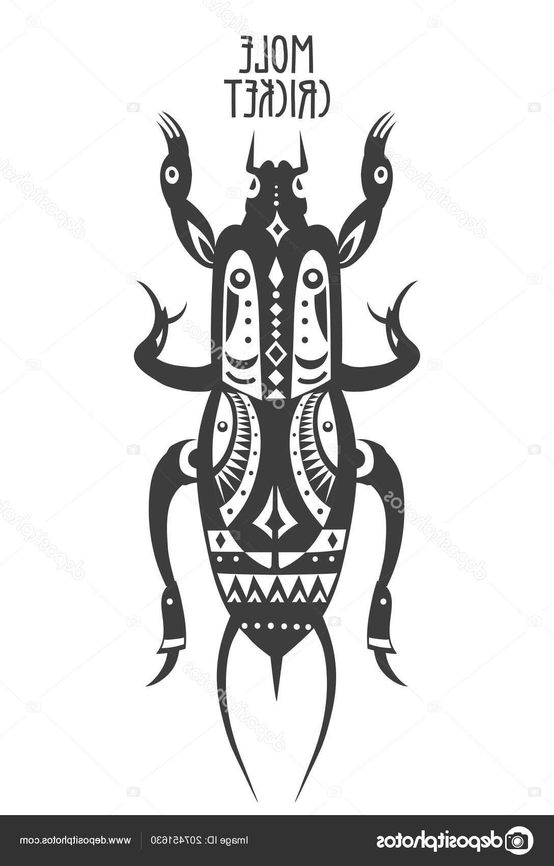 1088x1700 Best Hd Mole Cricket Vector Cdr Vector Images Design