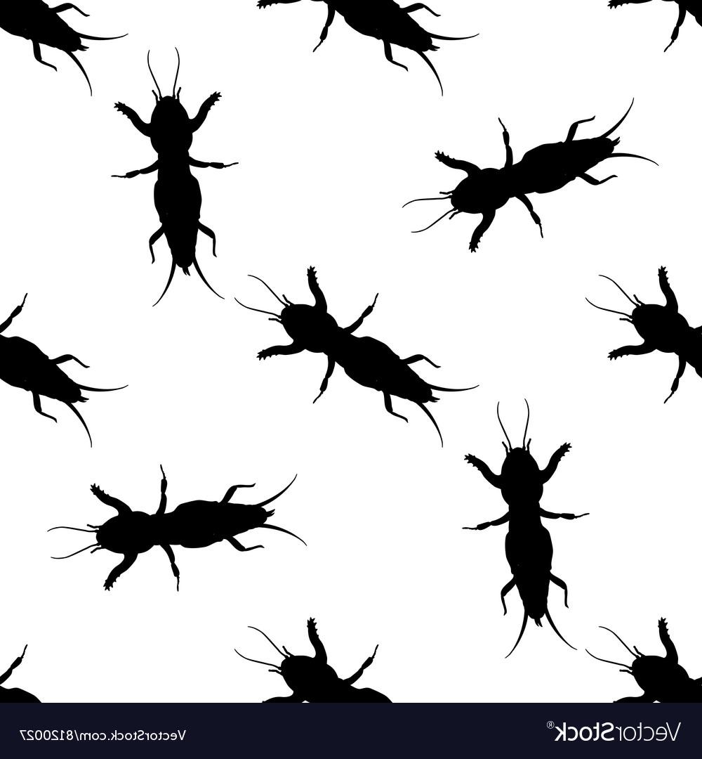 1000x1080 Best Hd Mole Cricket Vector Library Free Vector Art, Images