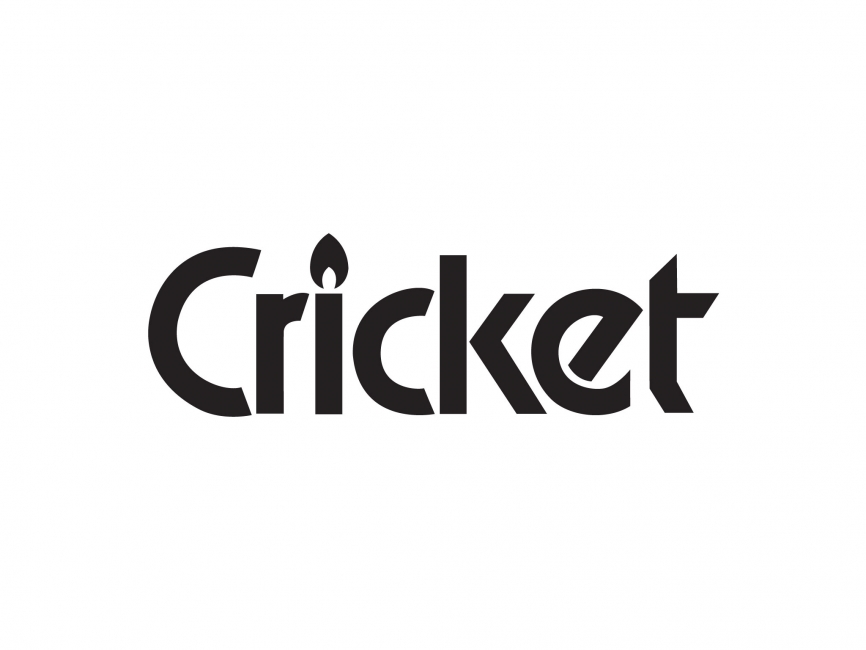 866x650 Cricket Vector Logo