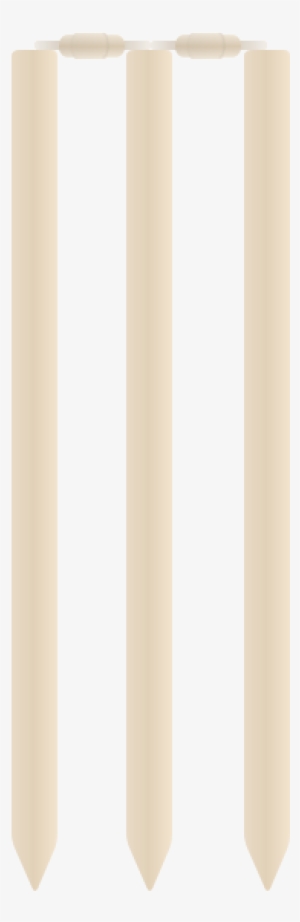 300x922 Cricket Vector Png Png Images Png Cliparts Free Download On Seekpng