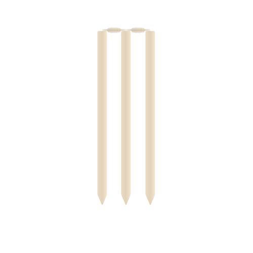 500x500 Cricket Stumps And Rails Vector Image