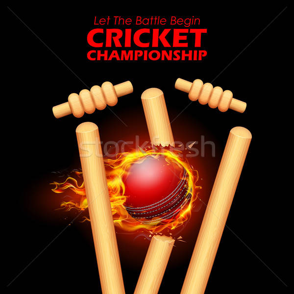 600x600 Stumps Stock Photos, Stock Images And Vectors Stockfresh