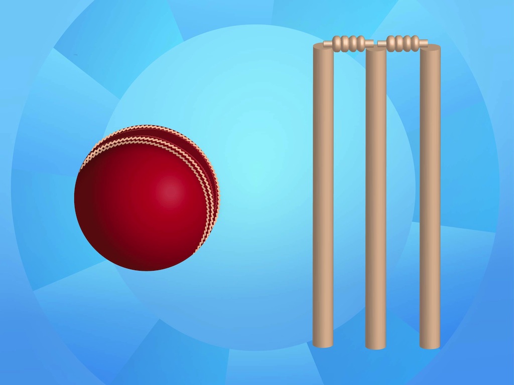 1024x768 Cricket Gear Vector