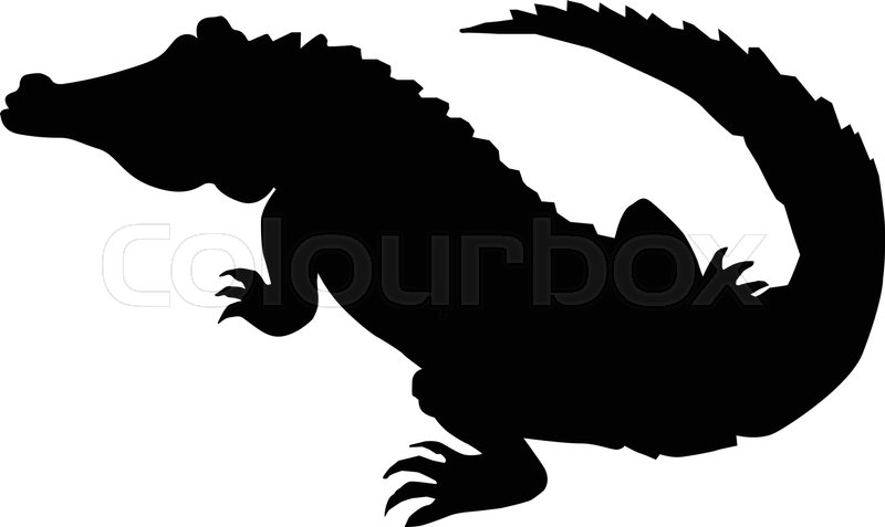 Silhouette Of Crocodile Stock Vector Colourbox 800x477 Silhouette Of Crocodile Stock Vector Colourbox