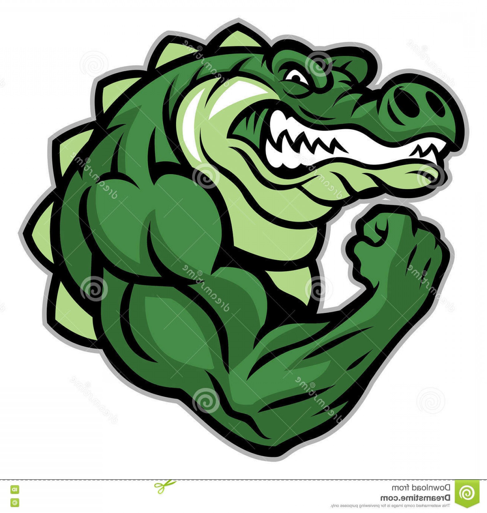 Muscular Vector Alligator Handandbeak 1560x1644 Muscular Vector Alligator Handandbeak