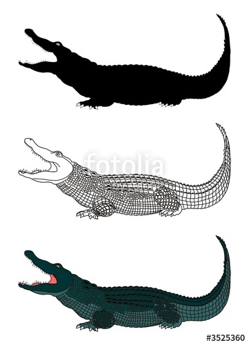 Crocodile Vector Stock Image And Royalty Free Vector 361x500 Crocodile Vector Stock Image And Royalty Free Vector