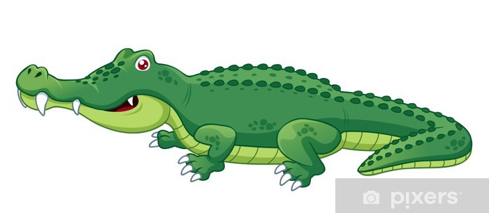 Illustration Of Crocodile Vector Wall Mural 700x306 Illustration Of Crocodile Vector Wall Mural