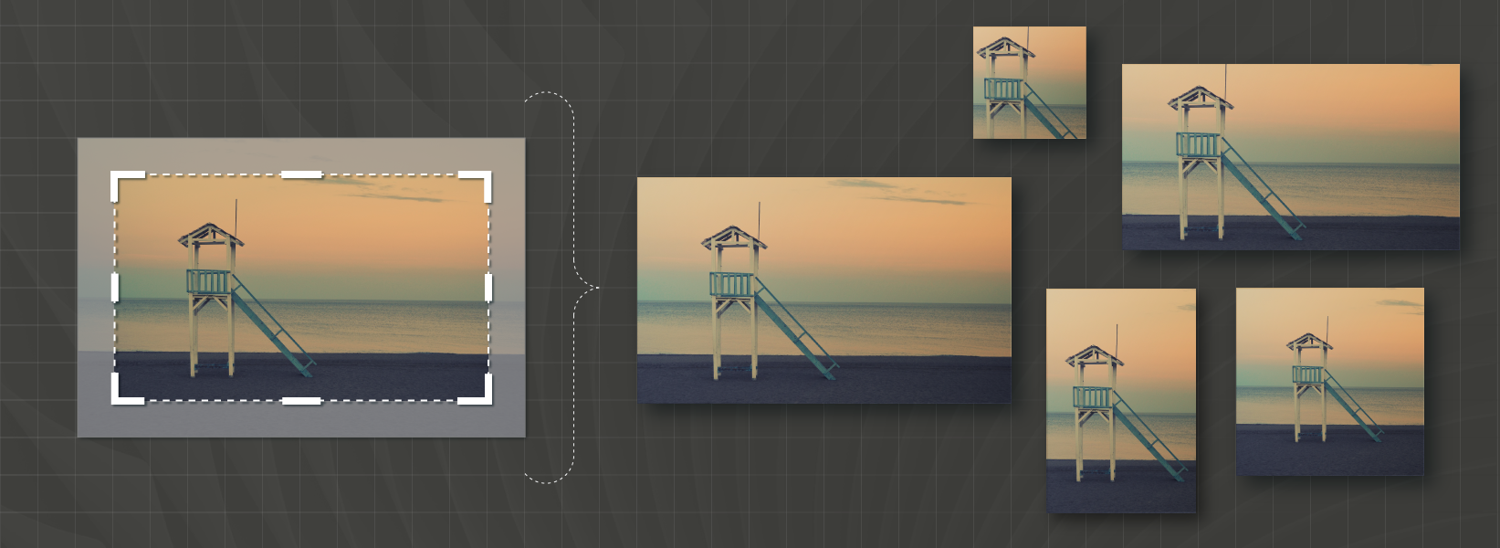 1643x600 Crop Images In Illustrator