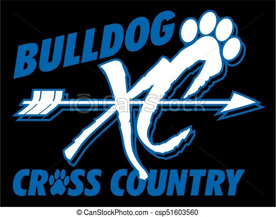 Vector 550x433 Vector