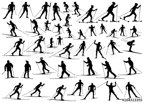 500x358 Cross Country Ski And Roller Ski Men Women Senior Children Vector