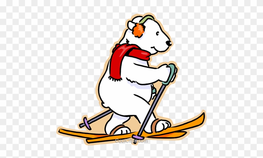 840x505 Polar Bear Cross Country Skiing Royalty Free Vector