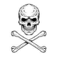 200x200 Skull And Crossbones Free Vector Art