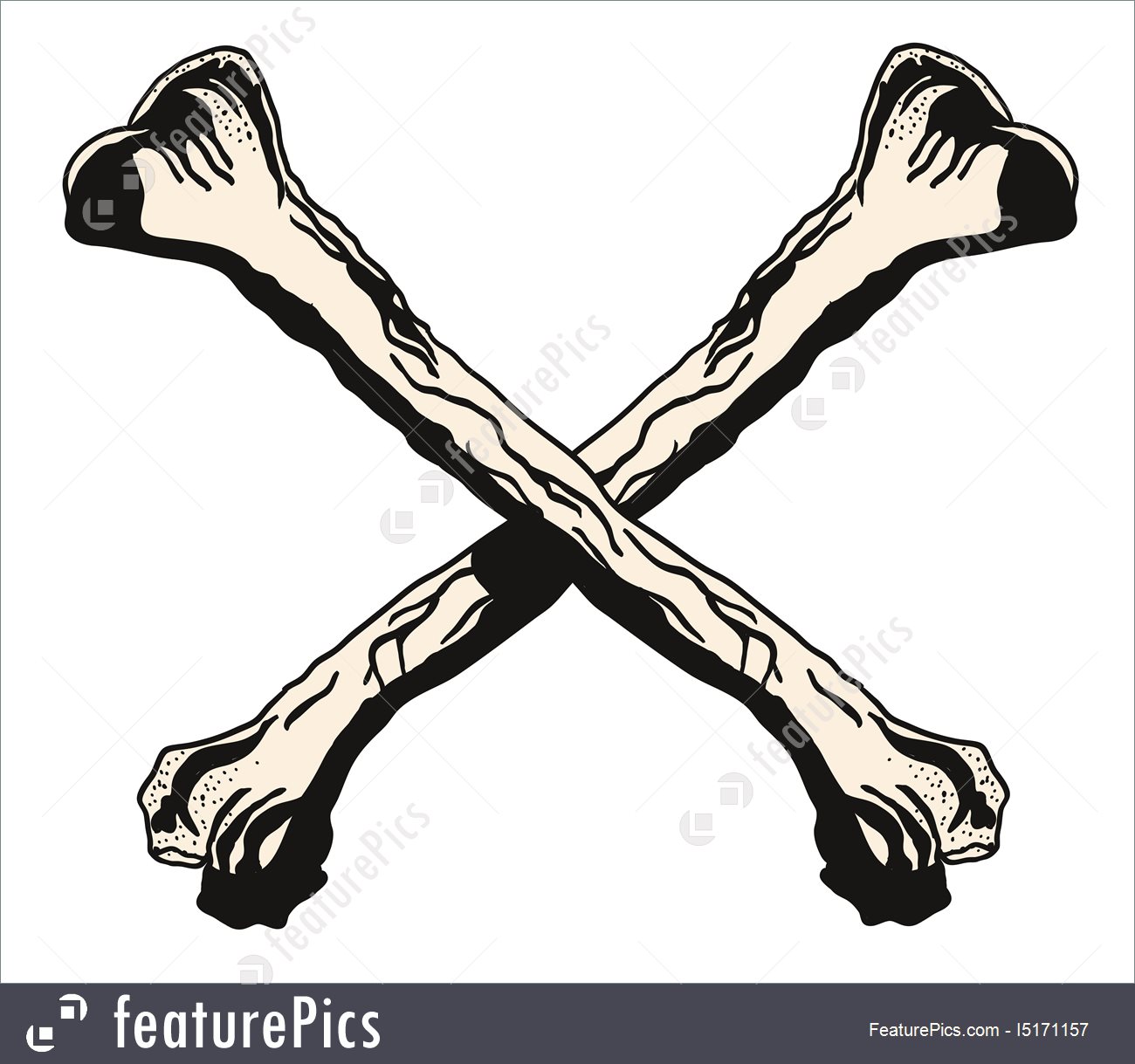 1300x1219 Crossbones Vector Illustration