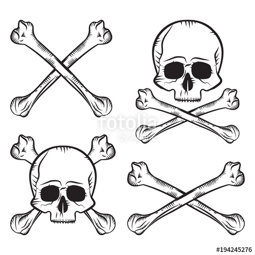 500x500 Human Skull And Crossbones Set Stock Image And Royalty Free