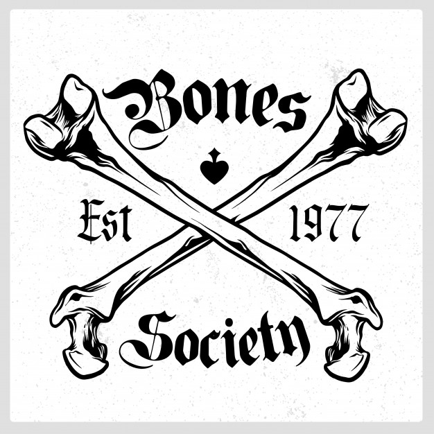 626x626 Crossbones Skull Vector Emblem Vector Premium Download