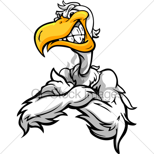500x500 Aggressive Pelican Or Seagull With Crossed Arms Cartoon V Gl