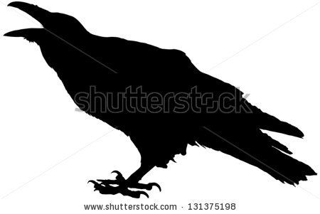 450x301 Crow Stock Photos, Images, Pictures Shutterstock Misc