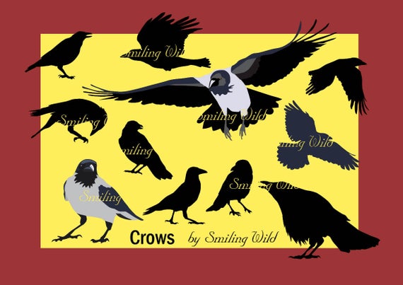 570x403 Crow Silhouette Clipart Bird Printable Cutout Bird Etsy