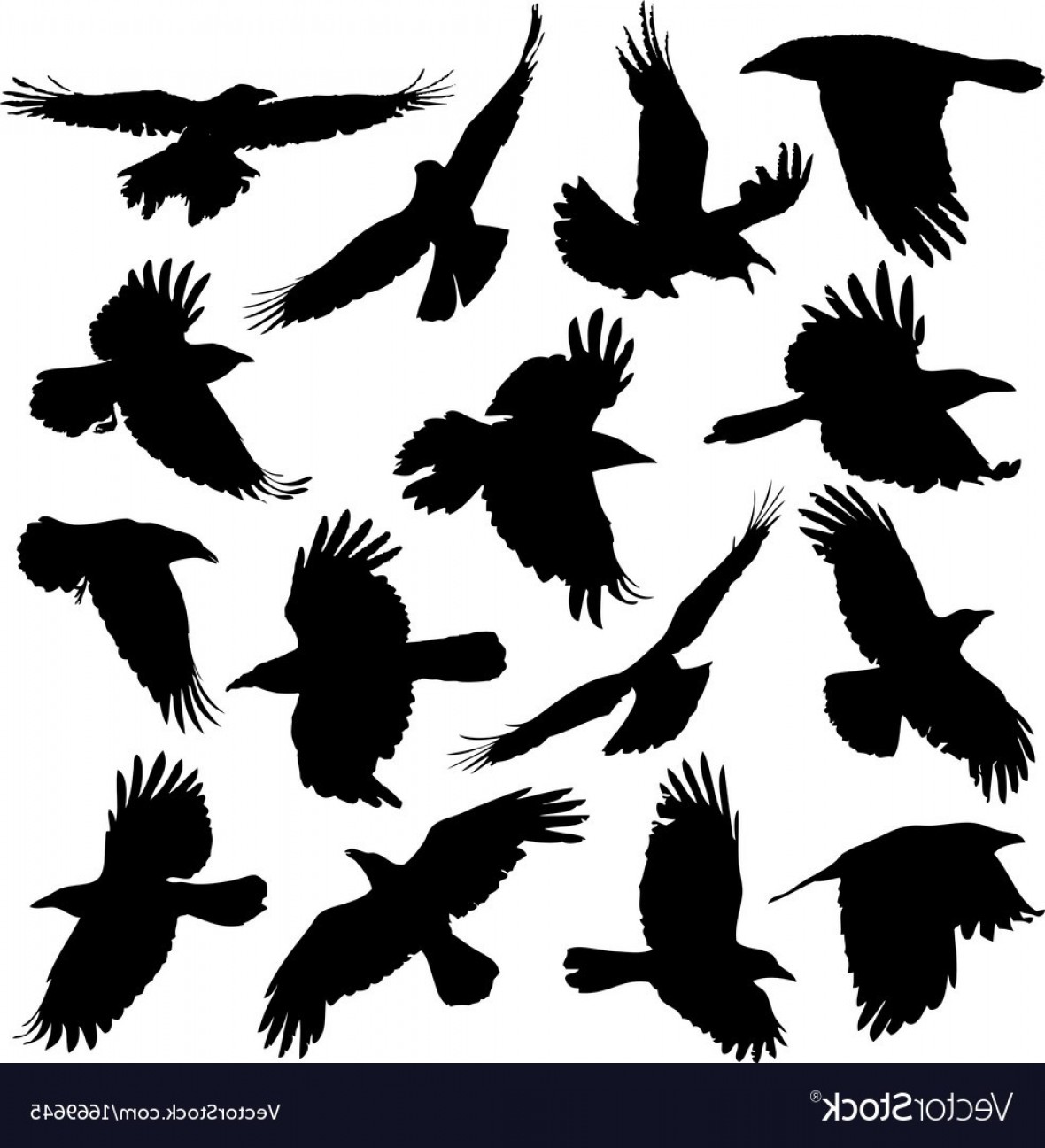 1180x1296 Black Crow Vector Geekshirts