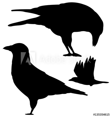 475x500 Crows Silhouettes Vector