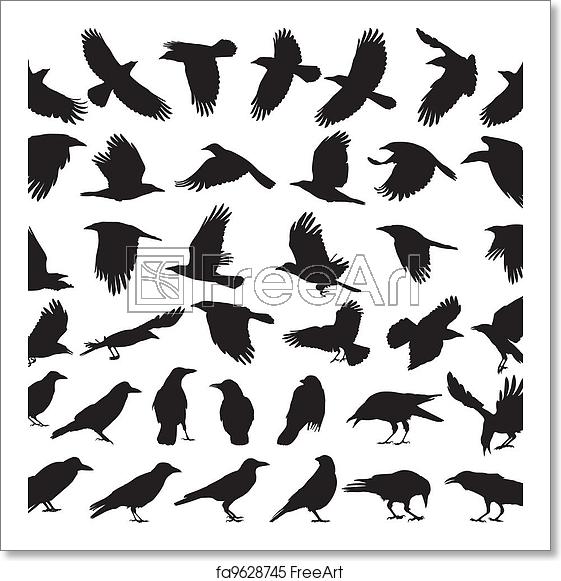 561x581 Free Art Print Of Bird Carrion Crow Black Isolated Vector