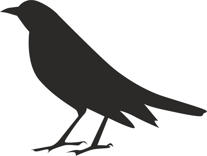 687x516 Halloween Crow Silhouette Free Vector Free Download Vector