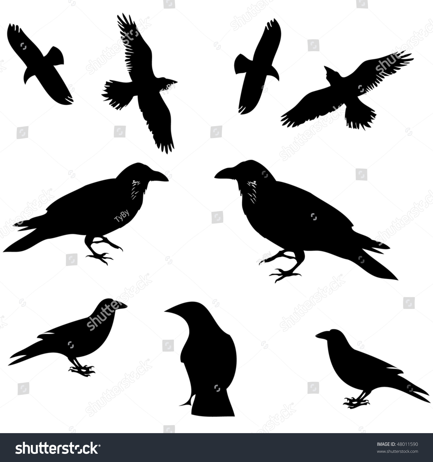 1500x1600 Raven Crow Silhouette