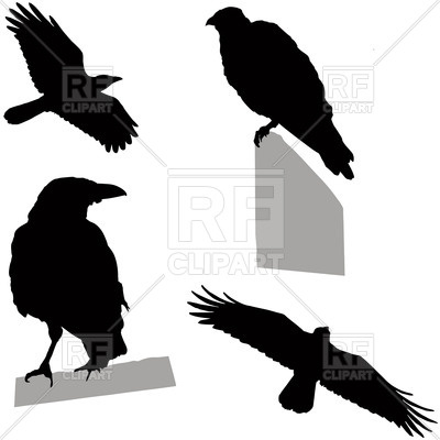 400x400 Silhouettes Of Flying And Sitting Crow