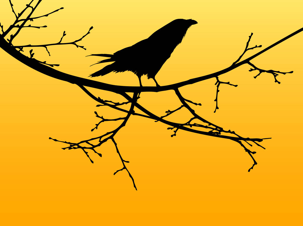 1024x765 Vector Crow Vector Art Graphics