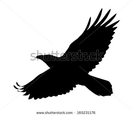 450x396 Vector Silhouette Of The Raven In Flight Ravens In Raven