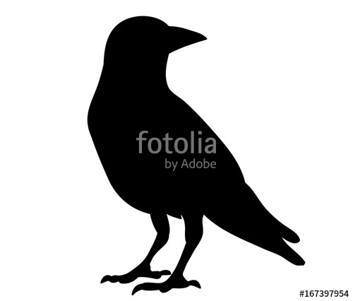 500x426 Isolated Silhouette Of Crows, Stock Image And Royalty Free Vector