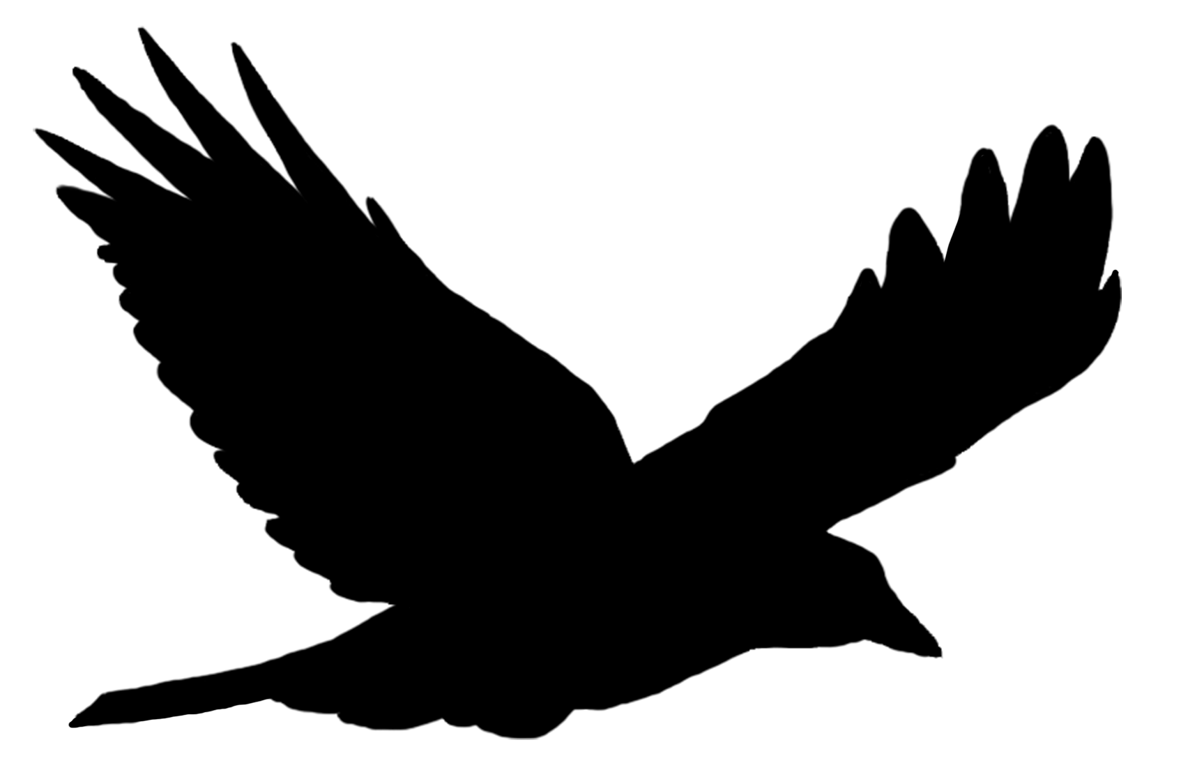 1694x1094 Collection Of 'flying Crow Silhouette' Download More Than