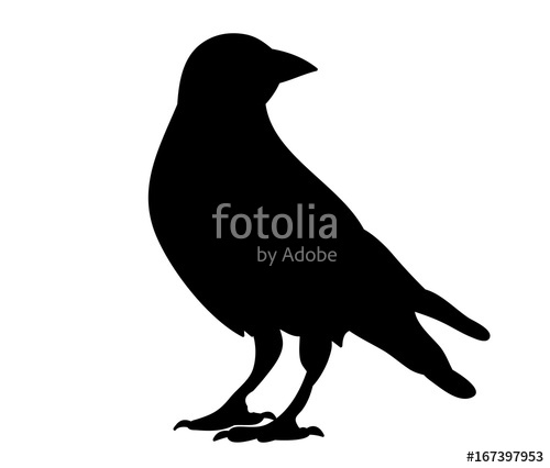 500x426 Silhouette Of Crows, Crow, Stock Image And Royalty Free Vector