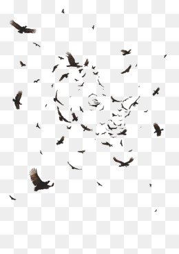 Crow Clipart Vector For Free Download And Use Images 260x368 Crow Clipart Vector For Free Download And Use Images