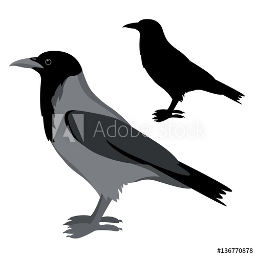 Crow Vector Illustration Style Flat Set Silhouette Black 500x500 Crow Vector Illustration Style Flat Set Silhouette Black