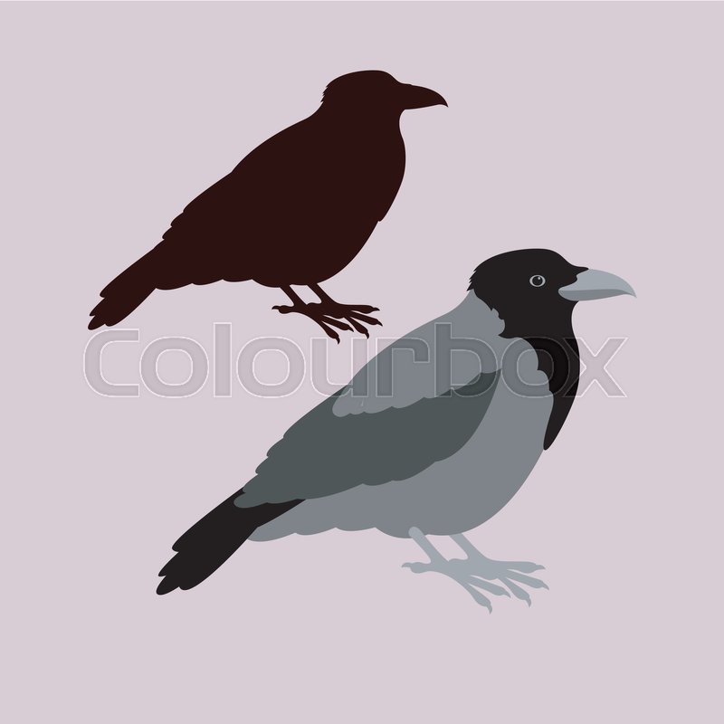 Crow Vector Illustration Style Flat Stock Vector Colourbox 800x800 Crow Vector Illustration Style Flat Stock Vector Colourbox
