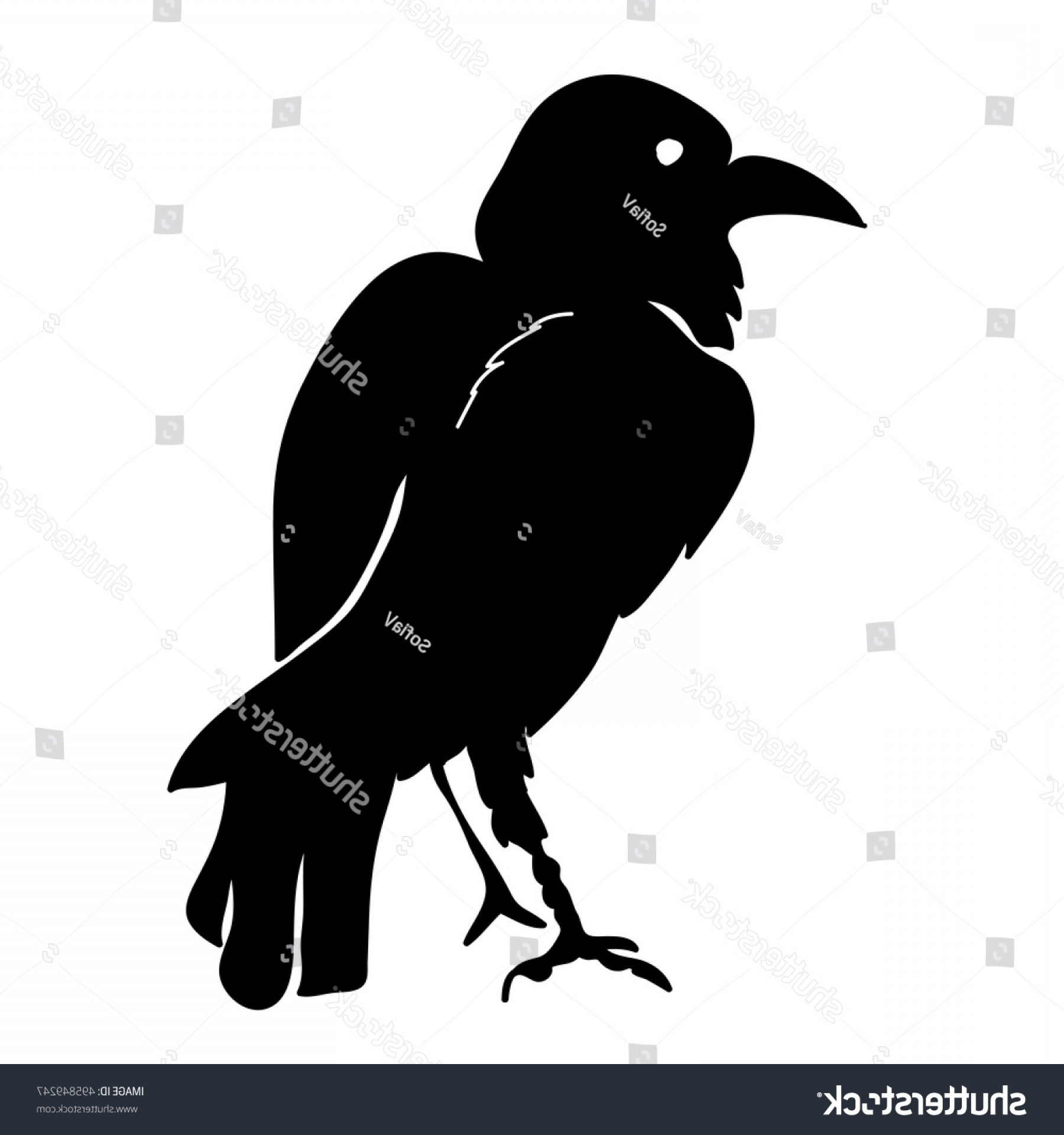 Primitive Crow Vector Cultracing 1800x1920 Primitive Crow Vector Cultracing